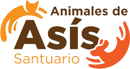 Animales de Asis – Costa Rica